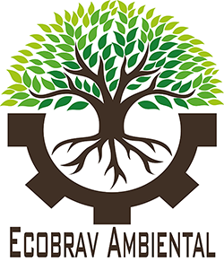 Ecobrav Ambiental